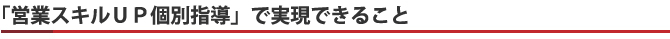 「営業スキルＵＰ個別指導」で実現できること